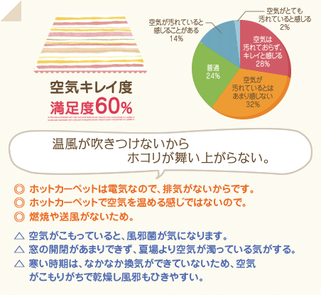 満足度60％　温風が吹きつけないからホコリが舞い上がらない。