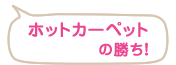 ホットカーペットの勝ち！