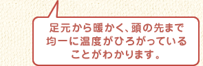 足元から暖かく、頭の先まで均一に温度がひろがっていることがわかります。